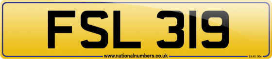 FSL 319