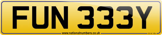 FUN 333Y