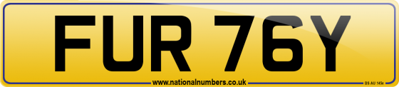 FUR 76Y