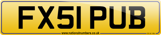 FX51 PUB