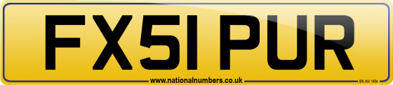 FX51 PUR