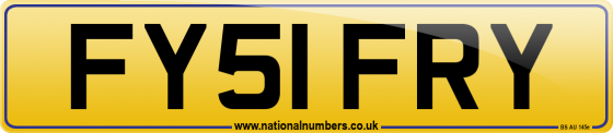 FY51 FRY
