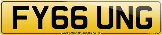FY66 UNG