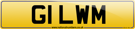G1 LWM