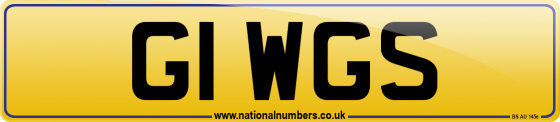 G1 WGS