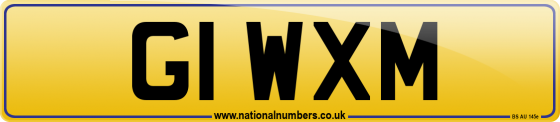 G1 WXM