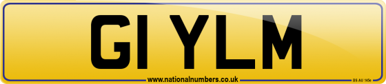 G1 YLM