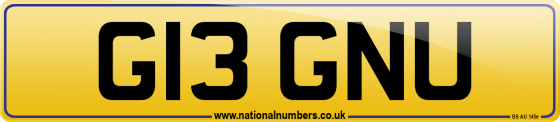 G13 GNU