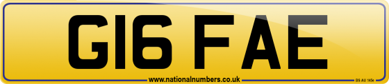 G16 FAE