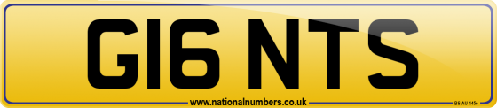 G16 NTS