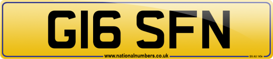 G16 SFN
