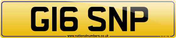 G16 SNP