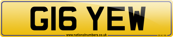 G16 YEW