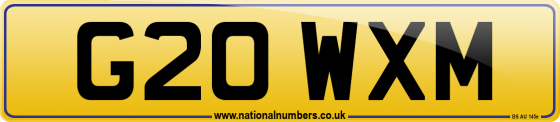 G20 WXM