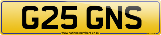 G25 GNS