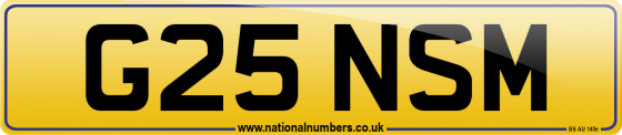G25 NSM