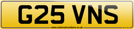 G25 VNS