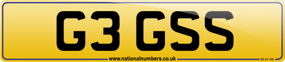 G3 GSS