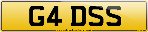G4 DSS