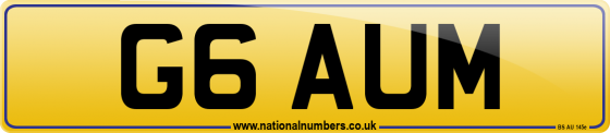 G6 AUM