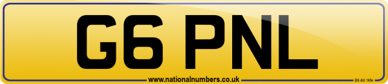 G6 PNL