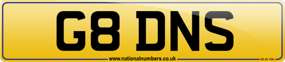 G8 DNS