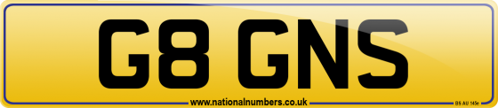G8 GNS