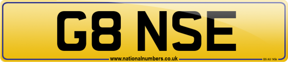 G8 NSE