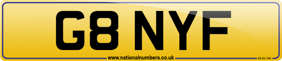 G8 NYF