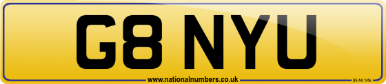 G8 NYU