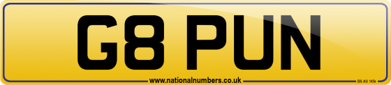 G8 PUN
