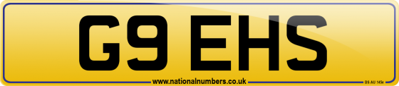 G9 EHS