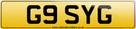G9 SYG