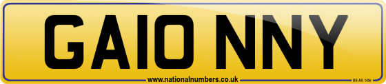 GA10 NNY