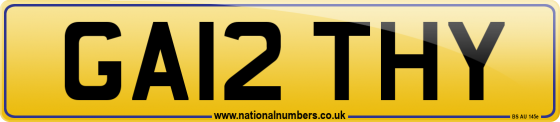 GA12 THY