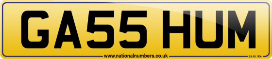 GA55 HUM