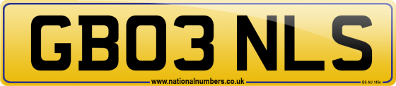 GB03 NLS