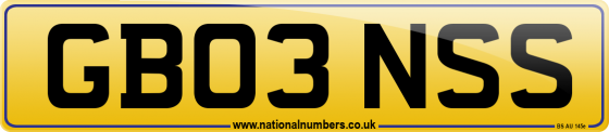 GB03 NSS