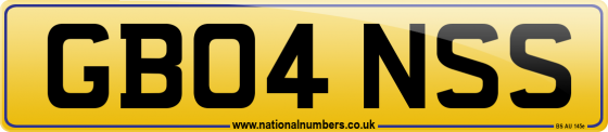 GB04 NSS