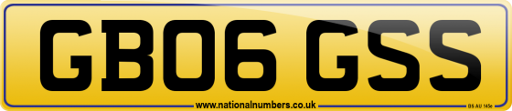 GB06 GSS