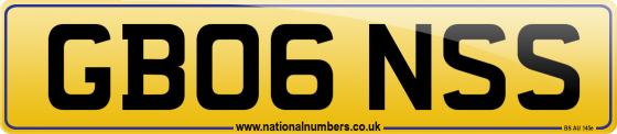 GB06 NSS