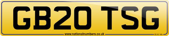 GB20 TSG