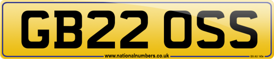 GB22 OSS