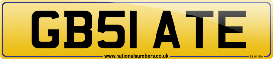 GB51 ATE