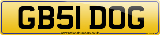 GB51 DOG