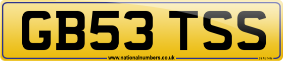 GB53 TSS