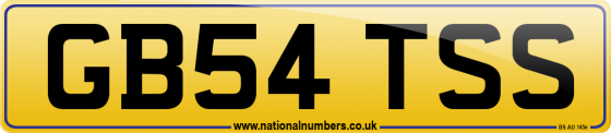 GB54 TSS