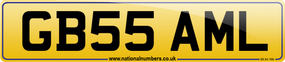 GB55 AML