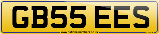 GB55 EES