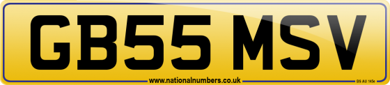 GB55 MSV